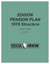 Edison Plan Summary unavailable online